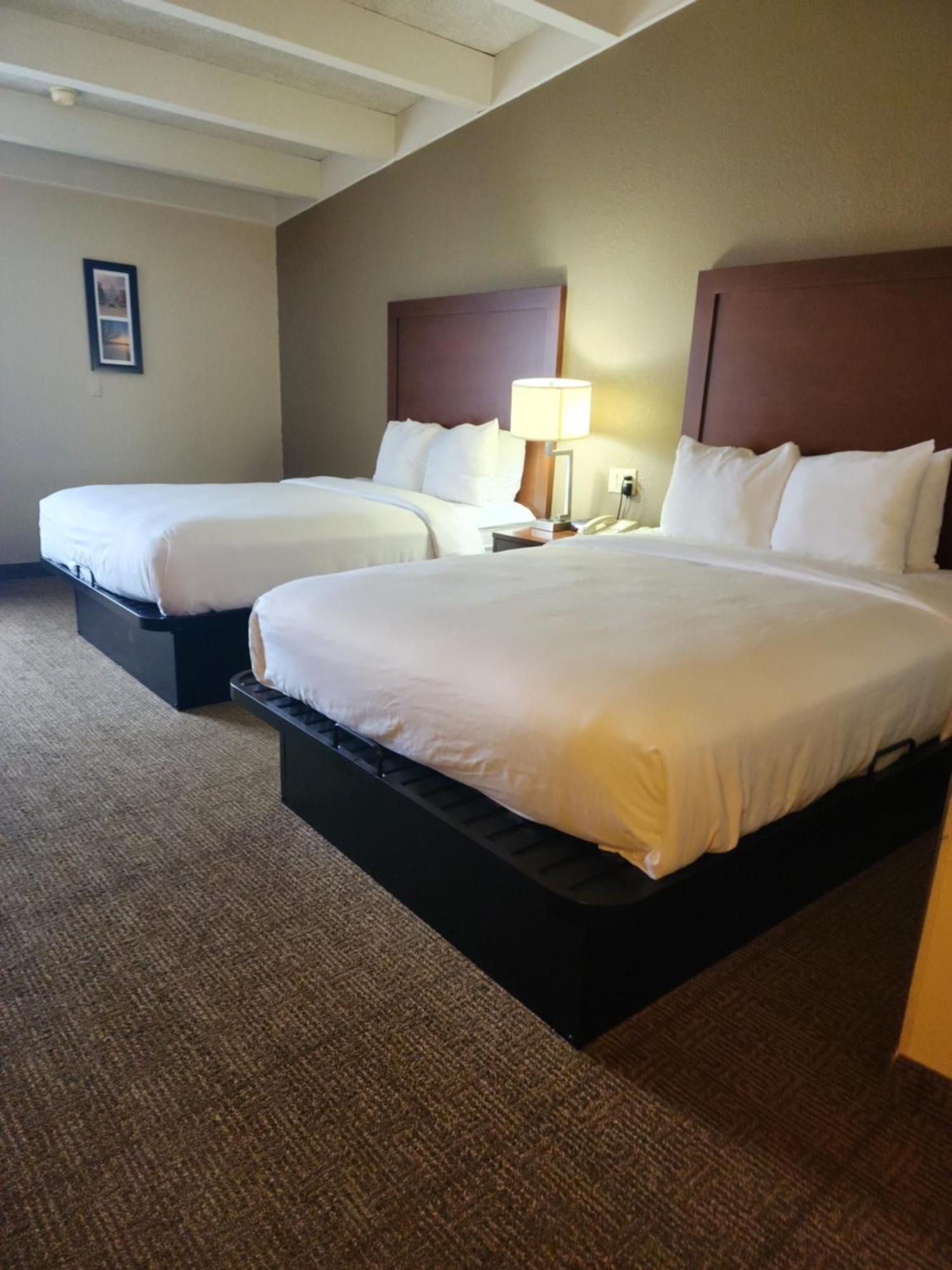 Comfort Inn & Suites Madison - Airport Exterior foto